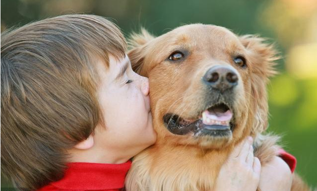 精神医疗犬运用形象思维模型可更好的促进自闭症患儿康复