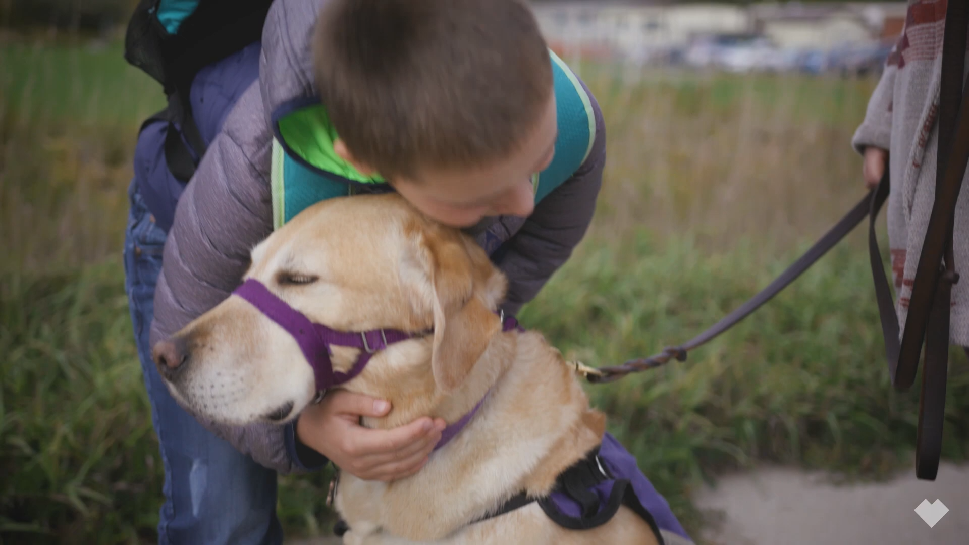 【案例回顾】精神医疗犬为自闭症儿童开启新的生活