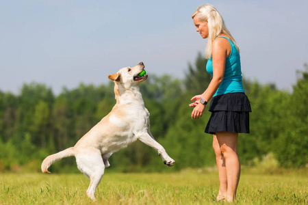 精神辅助犬助你寻找自信的动力