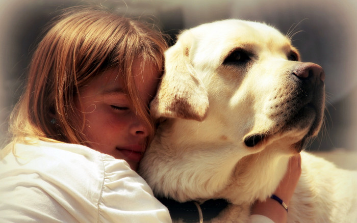 自闭症儿童如何选养一只精神医疗犬辅助康复（上）