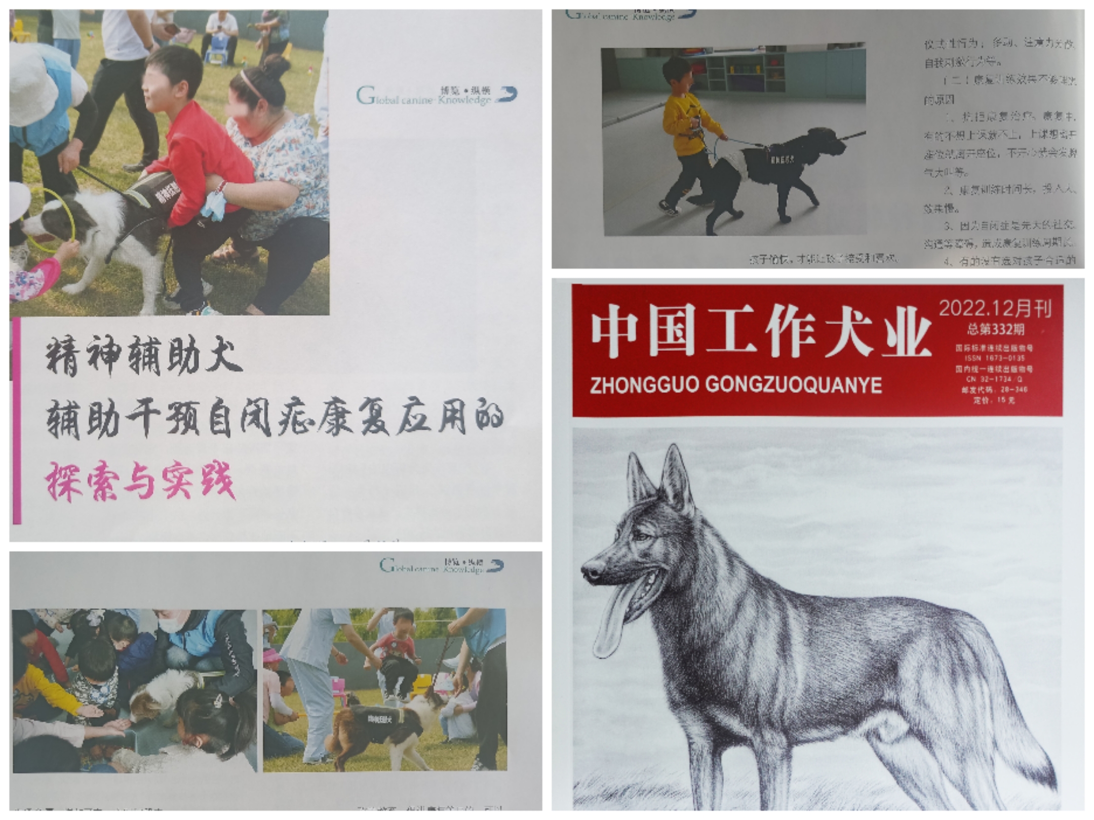 精神辅助犬成果荣登国家级学术专刊，升起我国工作犬界启明星