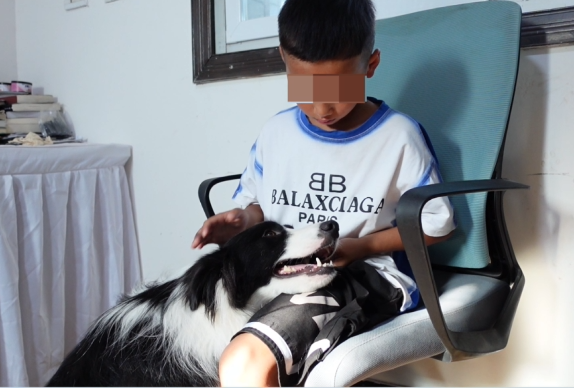 当你陷入情绪深海，请让Ta为你衔来一根“牵引绳”