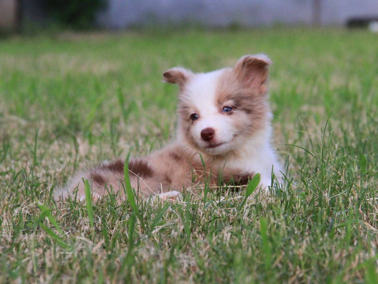 为什么有些双相情感障碍患者在日常生活中看起来与正常人并无二致