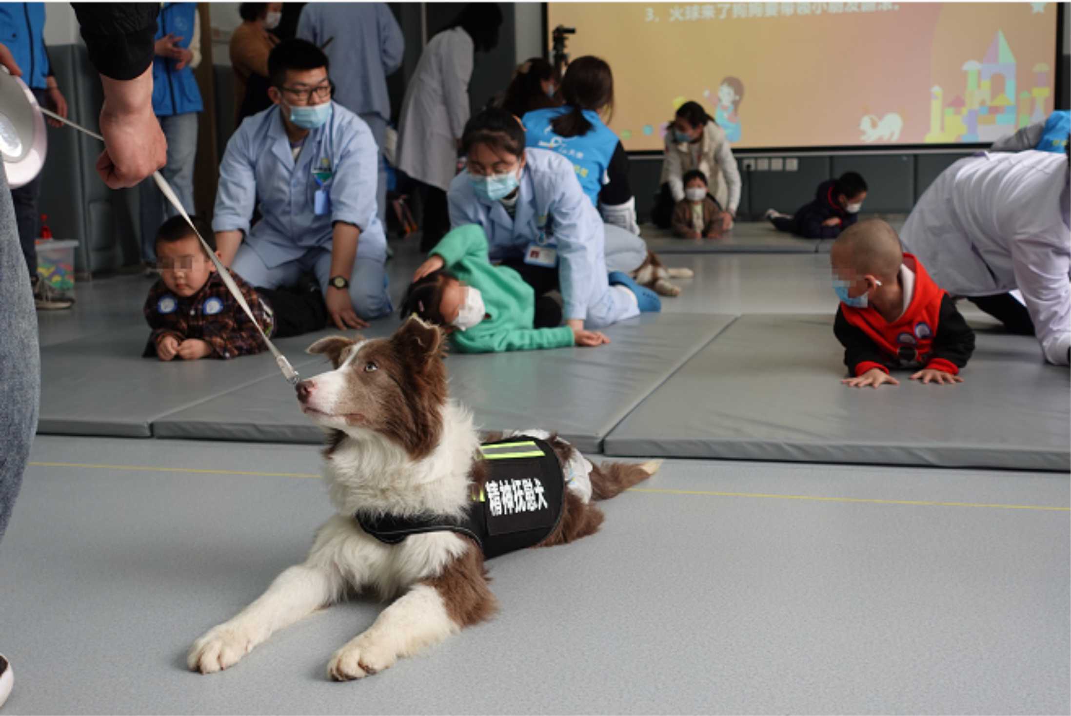 易怒背后的心理秘密