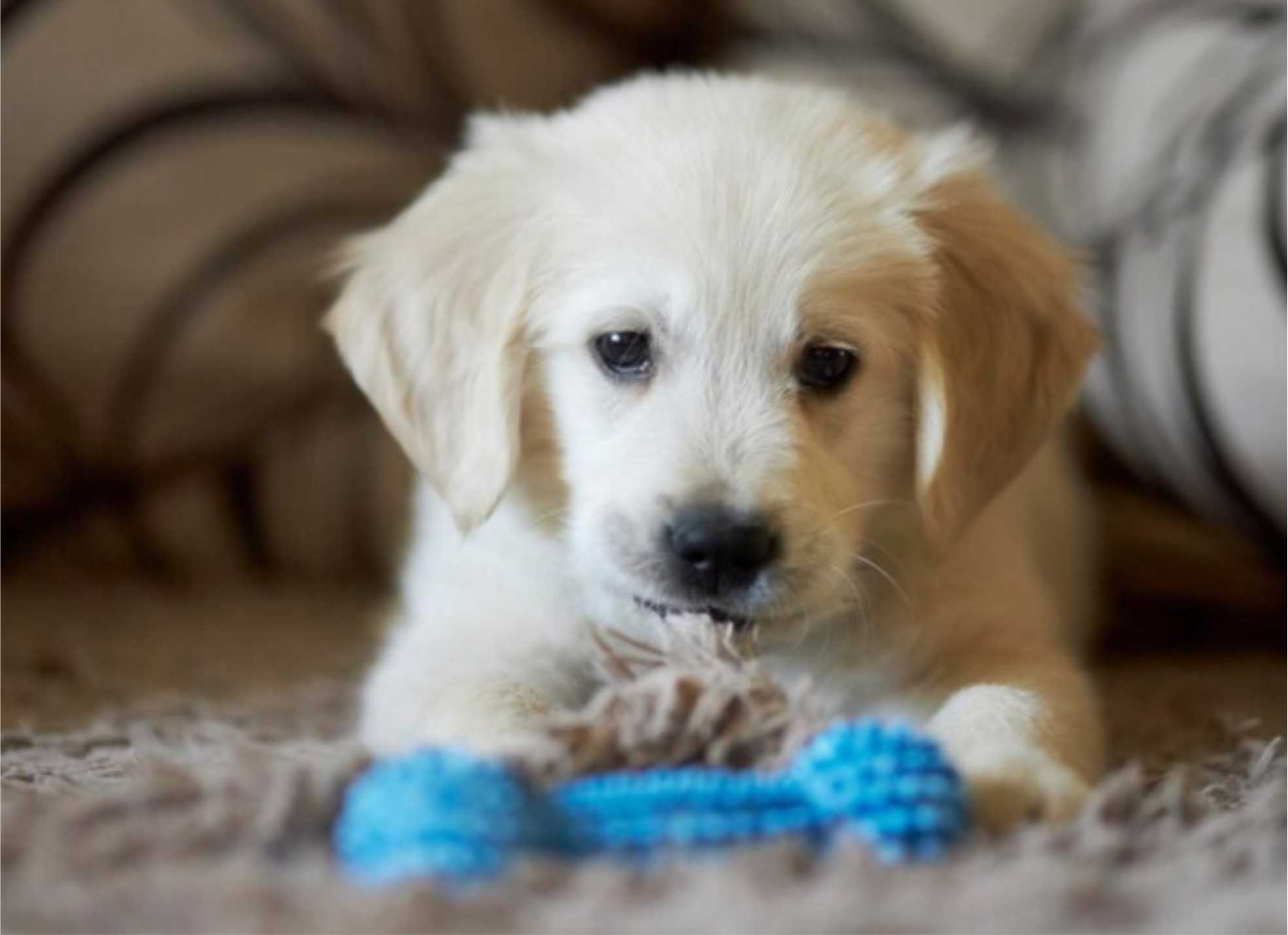 吸渣体质并非天生，而是童年创伤