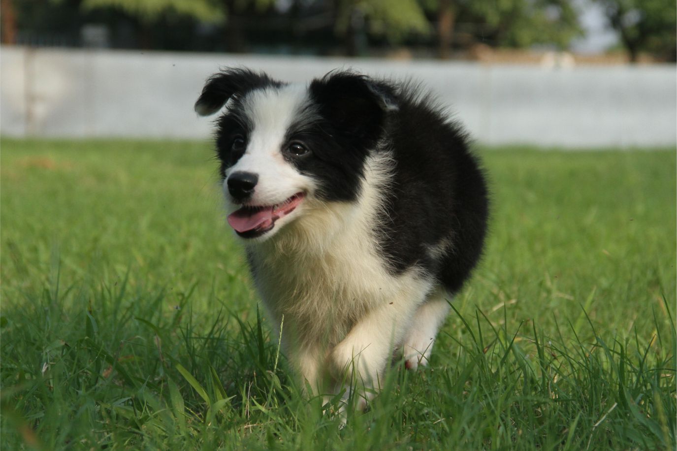 出问题了？或许这个问题就是你人生成长的一步
