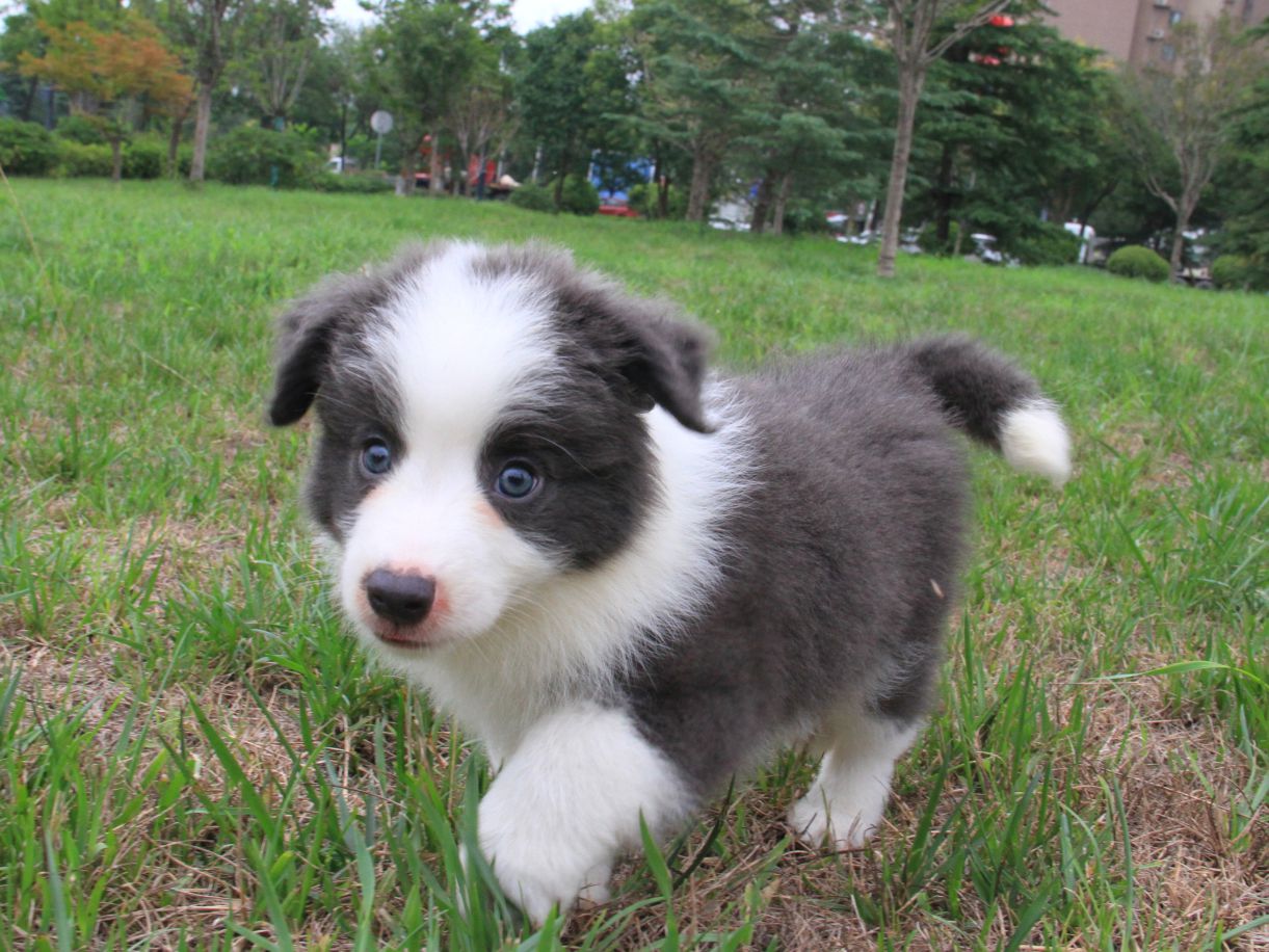 如何区分自己是真抑郁还是假抑郁