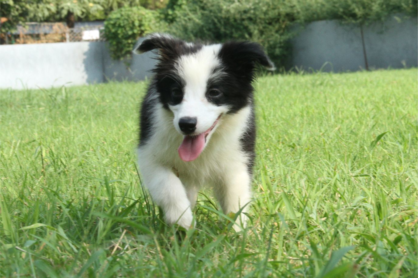 如何做情绪的主人？