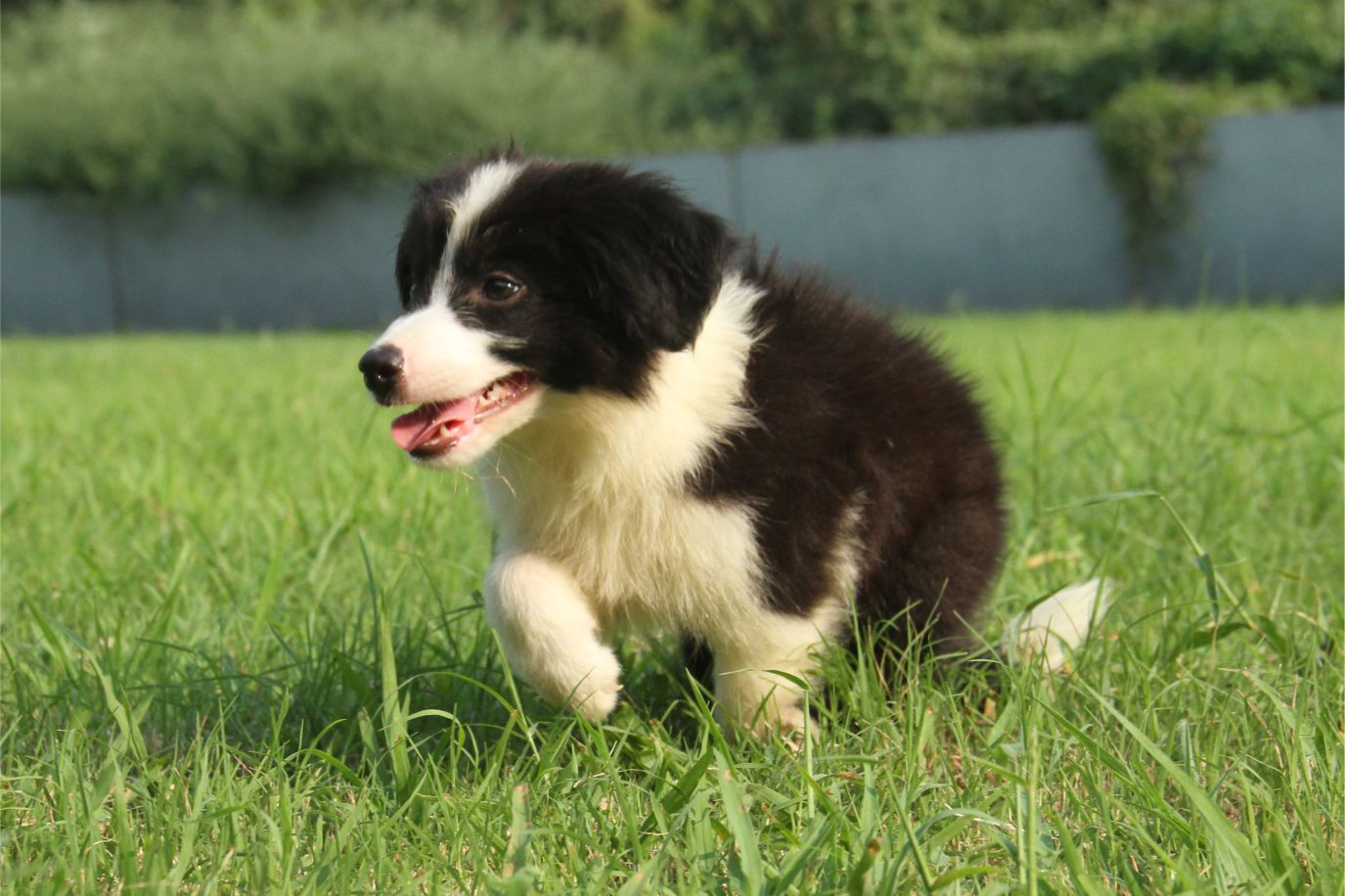 孩子喜欢看恐怖片，父母有些担心？