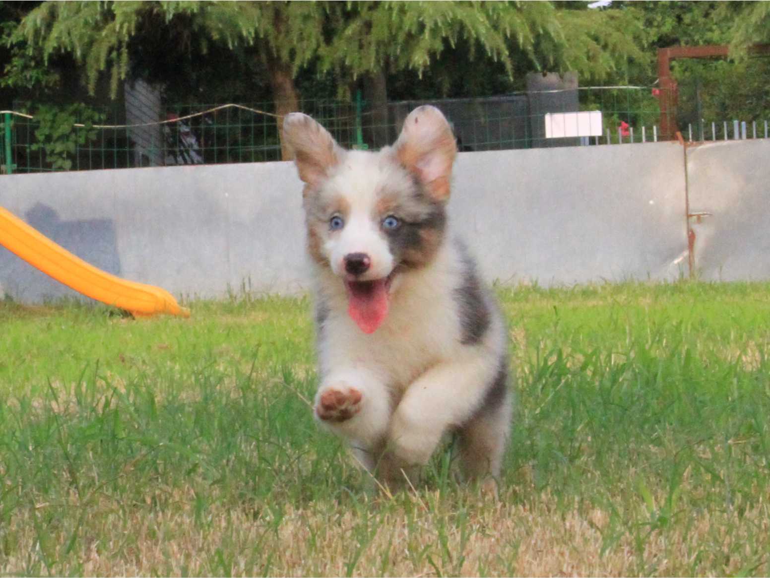 职场压力如何缓解