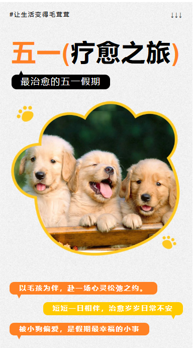 五一限定｜被狗狗治愈的这一天，是我们最好的假期礼物