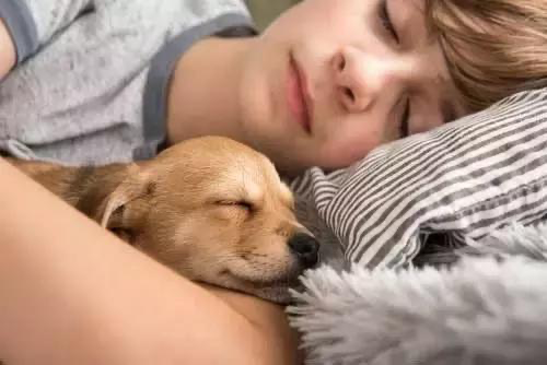 精神辅助犬对抑郁焦虑人群的生理康复干预作用